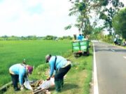 Operasi Sampah Liar Dimulai, DLH Bojonegoro Minta Warga Lebih Peduli Lingkungan IMG 20260801 WA0019