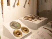 Museum Rajekwesi Bojonegoro Siap Jadi Destinasi Wisata Edukasi Favorit IMG 20260802 WA0065
