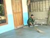 TMMD 129 Bojonegoro Buktikan Kualitas Bangunan Dimulai dari Detail IMG 20260804 WA0033