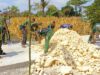 Semangat Tanpa Libur, Satgas TMMD 129 Bojonegoro Wujudkan Jalan Aman untuk Warga Kesongo IMG 20260804 WA0035