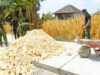 TMMD ke 129 Bojonegoro Maksimalkan Pembangunan Jalan, Warga Kesongo Segera Nikmati Akses Baru IMG 20260805 WA0019