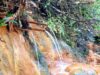 Pesona Banyu Kuning Bojonegoro, Wisata Alam yang Cantik Sekaligus Penuh Edukasi IMG 20260807 WA0010