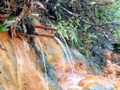Pesona Banyu Kuning Bojonegoro, Wisata Alam yang Cantik Sekaligus Penuh Edukasi IMG 20260807 WA0010