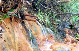 Pesona Banyu Kuning Bojonegoro, Wisata Alam yang Cantik Sekaligus Penuh Edukasi IMG 20260807 WA0010