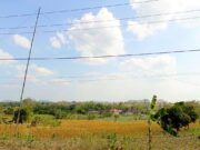 Cerah dari Pagi hingga Malam, Ini Prakiraan Cuaca Lengkap Bojonegoro Hari Ini IMG 20260807 WA0016