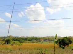 Cerah dari Pagi hingga Malam, Ini Prakiraan Cuaca Lengkap Bojonegoro Hari Ini IMG 20260807 WA0016