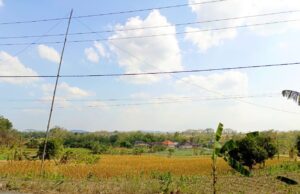 Cerah dari Pagi hingga Malam, Ini Prakiraan Cuaca Lengkap Bojonegoro Hari Ini IMG 20260807 WA0016