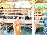 TMMD 129 Bojonegoro Sentuh Kehidupan Peternak, Babinsa Jalin Komunikasi dengan Warga IMG 20260807 WA0035