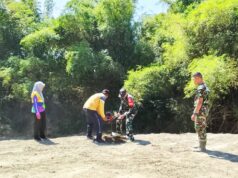 Babinsa dan DLH Kompak Hijaukan Kesongo, Aksi Ini Jadi Bagian TMMD Bojonegoro IMG 20260808 WA0047