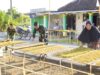 Bikin Haru, Satgas TMMD Bojonegoro Rela Bantu Petani Rajang Tembakau IMG 20260808 WA0050