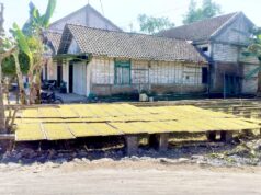 Petani Tembakau di Kedungadem Bojonegoro Tersenyum, Harga Tembus Rp39 Ribu IMG 20260809 WA0010