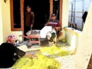 Harga Tembakau di Bojonegoro Mulai Naik, Ini Harapan Petani IMG 20260810 WA0001