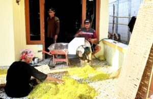 Harga Tembakau di Bojonegoro Mulai Naik, Ini Harapan Petani IMG 20260810 WA0001