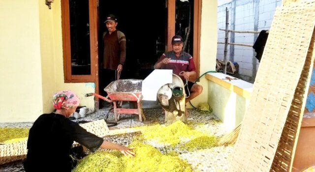 Harga Tembakau di Bojonegoro Mulai Naik, Ini Harapan Petani IMG 20260810 WA0001