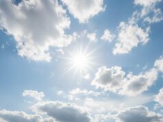 Pagi Cerah, Siang 32°C, Cuaca Bojonegoro Hari Ini IMG 20260810 WA0004