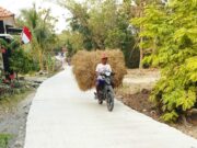 490 Meter Jalan Dicor, TMMD Bojonegoro Buka Akses Lancar untuk Petani Mundu IMG 20260810 WA0026