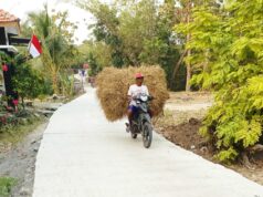 490 Meter Jalan Dicor, TMMD Bojonegoro Buka Akses Lancar untuk Petani Mundu IMG 20260810 WA0026