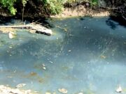 Dugaan Limbah Tahu Cemari Sungai Pacal, DLH Bojonegoro Belum Cek Lokasi IMG 20260811 WA0074