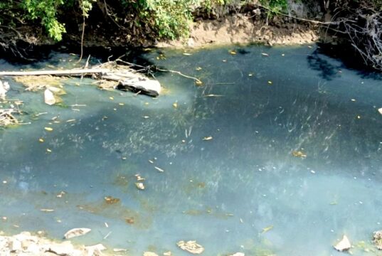 Dugaan Limbah Tahu Cemari Sungai Pacal, DLH Bojonegoro Belum Cek Lokasi IMG 20260811 WA0074