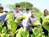 Bupati Bojonegoro Turun ke Sawah, Petani Cengkir Kepohbaru Sampaikan Ini IMG 20260813 WA0002