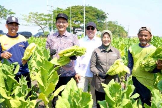 Bupati Bojonegoro Turun ke Sawah, Petani Cengkir Kepohbaru Sampaikan Ini IMG 20260813 WA0002