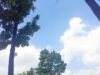 Cuaca Hari Kemerdekaan di Bojonegoro Cerah IMG 20260817 WA0004