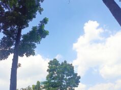 Cuaca Hari Kemerdekaan di Bojonegoro Cerah IMG 20260817 WA0004
