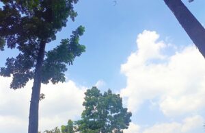 Cuaca Hari Kemerdekaan di Bojonegoro Cerah IMG 20260817 WA0004