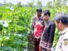 Lahan Sempit Bukan Halangan, Inovasi Mbah Dul Bikin DKPP Bojonegoro Terpukau IMG 20260819 WA0006