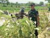 Cegah Genangan, Sungai Sidomulyo Lamongan Dinormalisasi IMG 20260822 WA0002