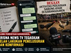 Berita Sabung Ayam Karangduren Jember Dipersoalkan, Ini Jawaban Krisna News TV IMG 20260824 WA0003