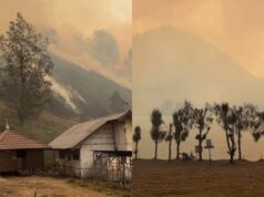 Kebakaran Gunung Semeru, Guide Jaga Shelter Ranu Kumbolo dari Api IMG 20260828 WA0018