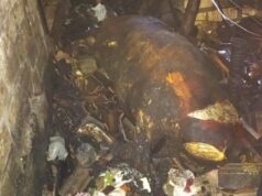 Bermula dari Bediang, Kandang Sapi Warga Lamongan Dilalap Api IMG 20260828 WA0019