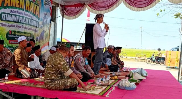 Petani Panen Raya, Babinsa Babat Lamongan Ikut Turun Tangan IMG 20260830 WA0011