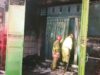 Kebakaran Ruko Pasar Kedungadem Bojonegoro, Ini Dugaan Penyebabnya IMG 20260830 WA0020