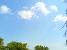 Cuaca Bojonegoro Senin 31 Agustus Diprediksi Cerah, Suhu Siang Tembus 32 Celcius IMG 20260831 WA0018