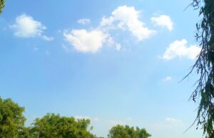 Cuaca Bojonegoro Senin 31 Agustus Diprediksi Cerah, Suhu Siang Tembus 32 Celcius IMG 20260831 WA0018