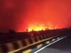 Viral Karhutla Tumbang Nusa Pulang Pisau Kalteng, Petugas Berjibaku di Tengah Kepungan Api IMG 20260901 WA0007
