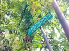 Kota Bojonegoro Makin Hijau, Dua RTH Baru Mulai Dikaji IMG 20260901 WA0023