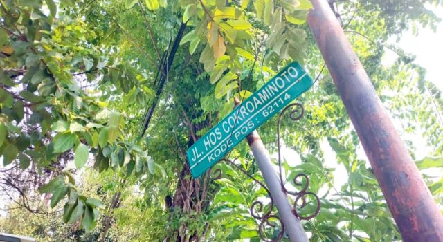 Kota Bojonegoro Makin Hijau, Dua RTH Baru Mulai Dikaji IMG 20260901 WA0023