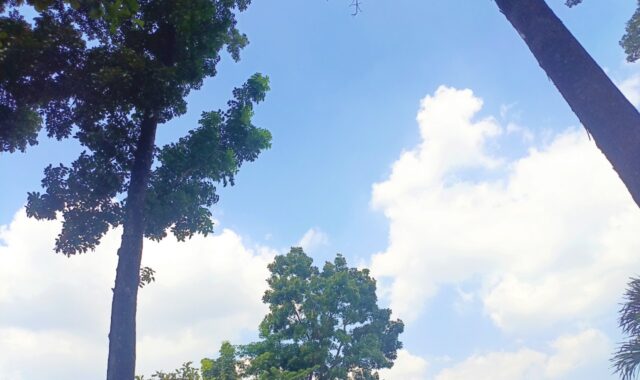 IMG 20260904 WA0004