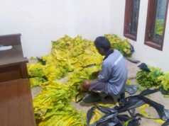 Harga Tembakau Cuma Rp32 Ribu, Petani Bojonegoro Keluhkan Biaya Produksi IMG 20260905 WA0015