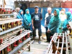Bukan Penerima Gayatri, Mujianto Warga Bojonegoro Ini Justru Bangun Ternak Secara Mandiri IMG 20260908 WA0007