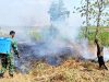 Lahan Medalem Lamongan Terbakar, Pembakaran Sisa Tebu Diduga Jadi Pemicu