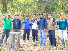 Diselamatkan Warga, Trenggiling di Bojonegoro Ini Dilepasliarkan ke Hutan Tuban