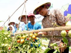 Petani Bojonegoro Bisa Hemat Biaya 30 Persen, Ini Programnya