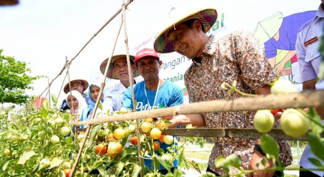 Petani Bojonegoro Bisa Hemat Biaya 30 Persen, Ini Programnya