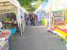 Festival Ledre Bojonegoro Bawa Berkah, UMKM Lokal Ramai Diserbu Pengunjung