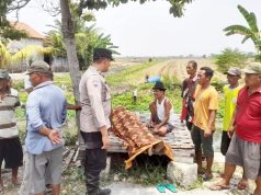 Diduga Kelelahan Usai Cari Rumput, Lansia di Lamongan Meninggal Dunia