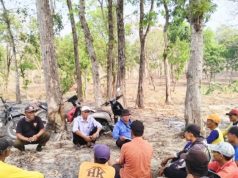 Perhutani Bojonegoro Tertibkan Garapan Liar di Hutan Temayang, Ini Peringatannya